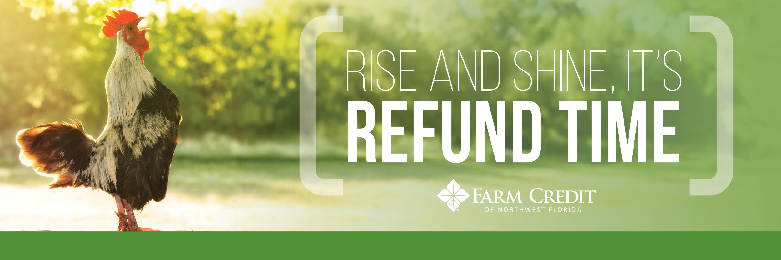 Rise & Shine it's Refund Time