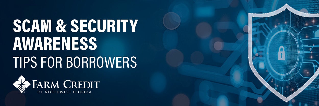 Scam & Security Awareness Tips for Borrowers