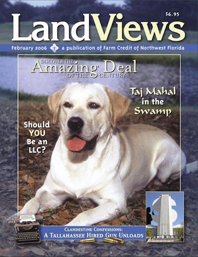 LandViews Issue 1 2006