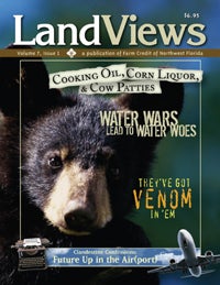 LandViews Issue 1 2007