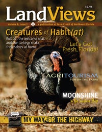 LandViews Issue 1 2008
