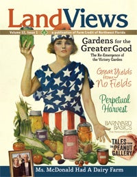 LandViews Issue 1 2012