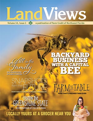 LandViews Issue 1 2014