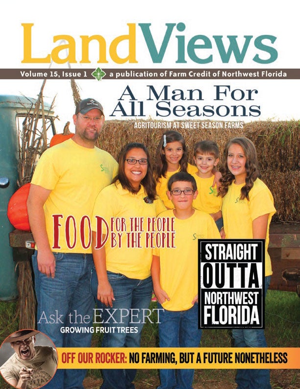 LandViews Issue 1 2015