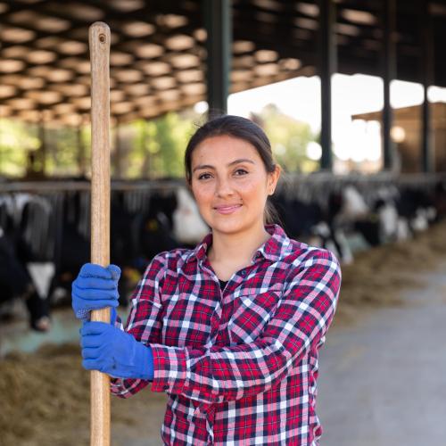 Women in barn