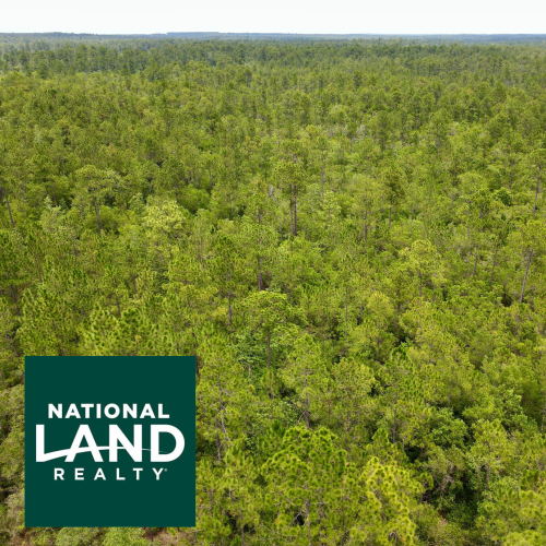 National Land Realty