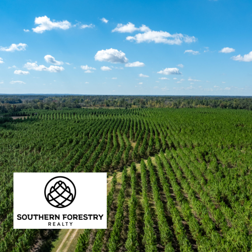 Southern Forestry Realty
