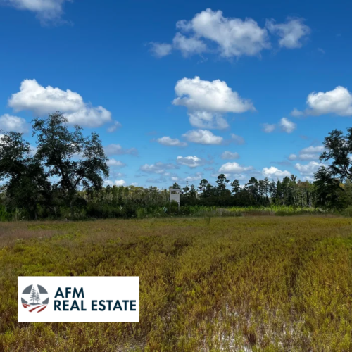 Natural Beauty in Leon County