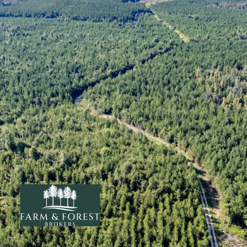 Farm & Forest Brokers