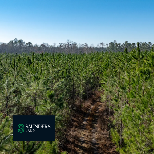 Saunders Land