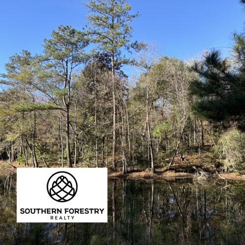 Southern Forestry Realty