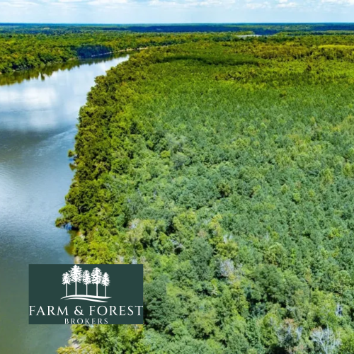 Farm & Forrest Brokers