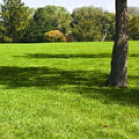 land loan farm
