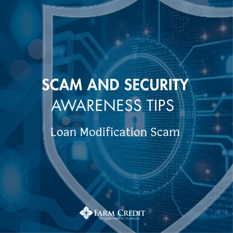 Loan Modification Scam