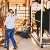  Jacob Gilmore, a farm credit board member describes his weekends on the family farm. His family member is tending to their cows. 