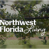 NWFLiving