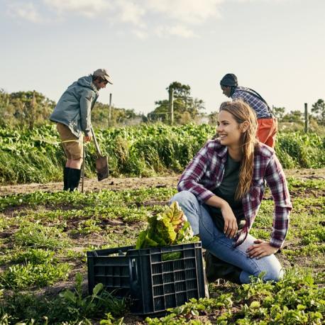 Group of young farmers in the field.