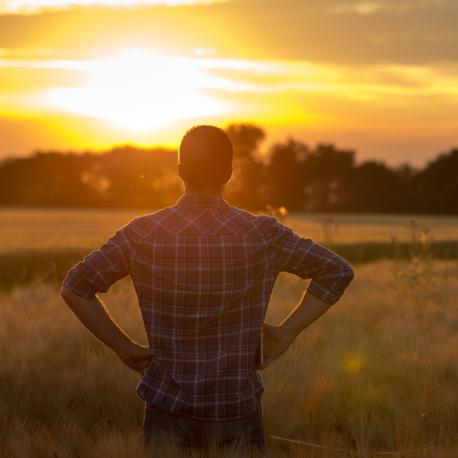 Man in field